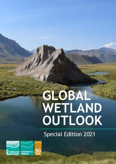 GWO2021cover