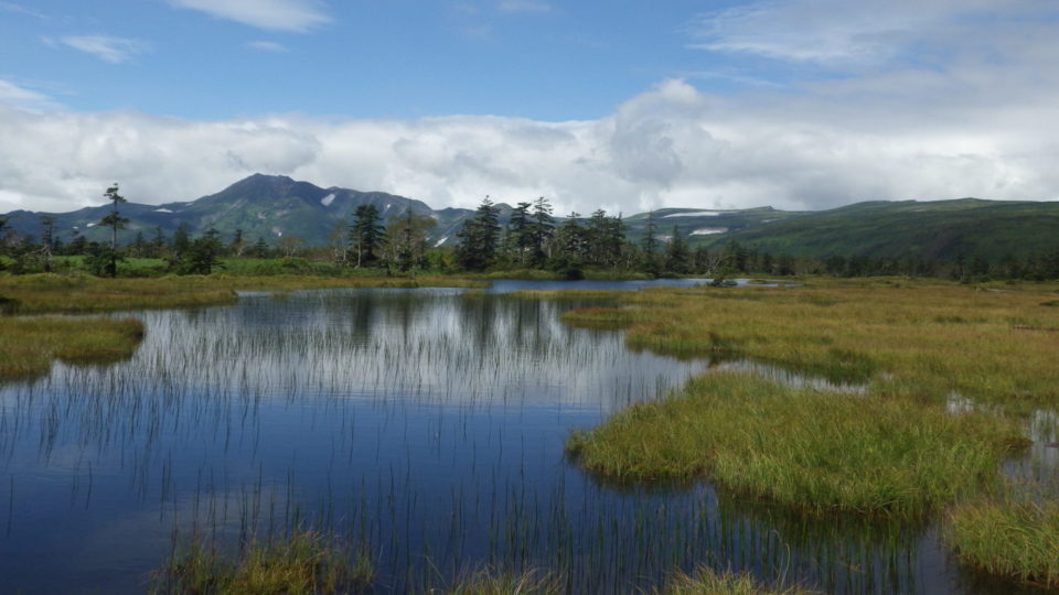 Home - Wetlands International Japan